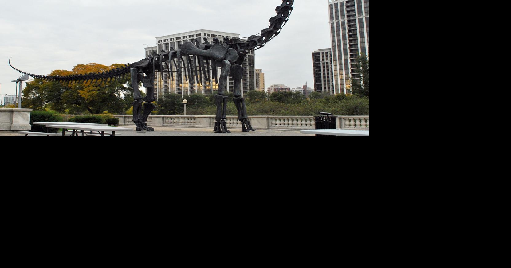 Bill Caldwell: Kansas paleontologist Elmer Riggs hunted dinosaurs ...