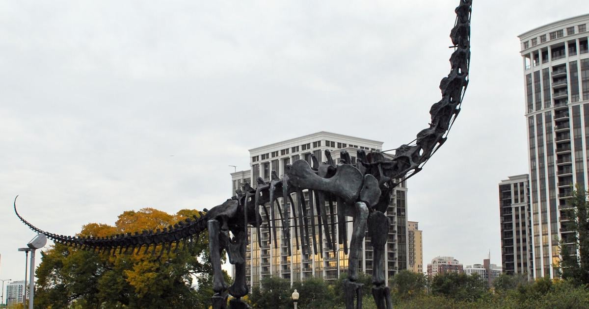 Bill Caldwell: Kansas paleontologist Elmer Riggs hunted dinosaurs ...