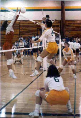 Ac142 0838 Box 3 Mssc Volleyball F1 64 Kyla Tompkins 14 And Karen Doak 6 87 Pg 22 Jpg Joplinglobe Com