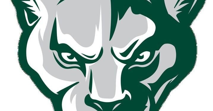 Cougars stung by Hornets in season opener