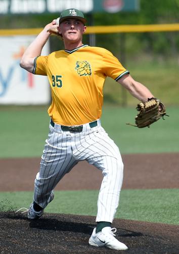 Lions baseball team advances in MIAA tourney with 8-4 win over Newman, Sports