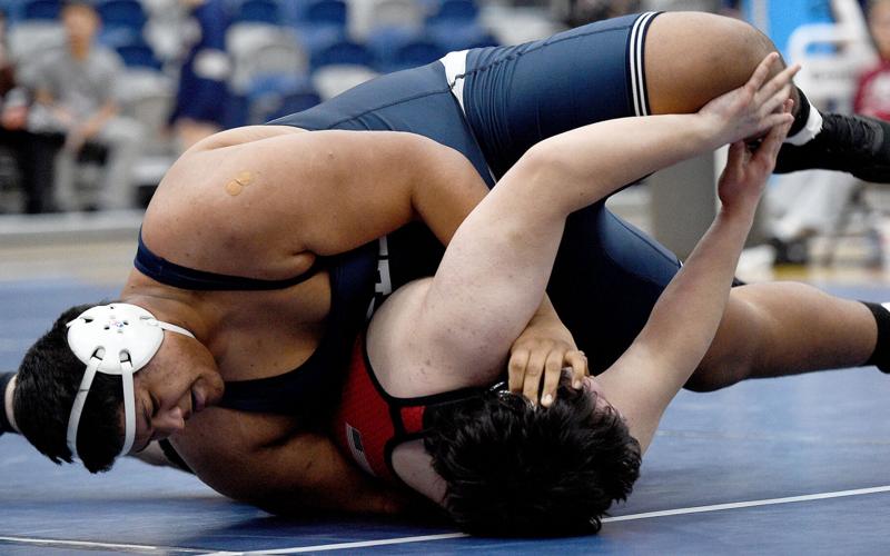 Wrestling Pins- add another one every time your little wrestler gets a pin