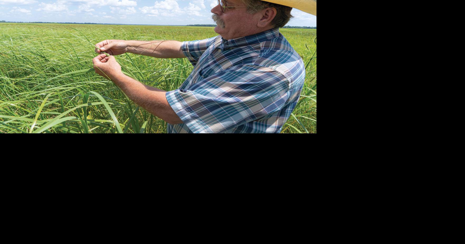 'Rebel' rancher restores native grasslands in Chautauqua Hills | News ...