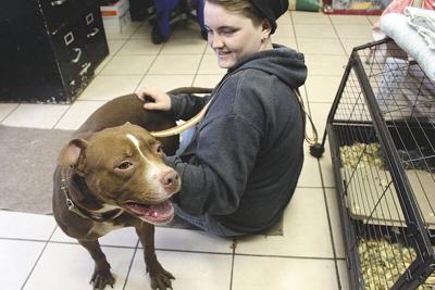 kevin mcclintock sweet natured pit