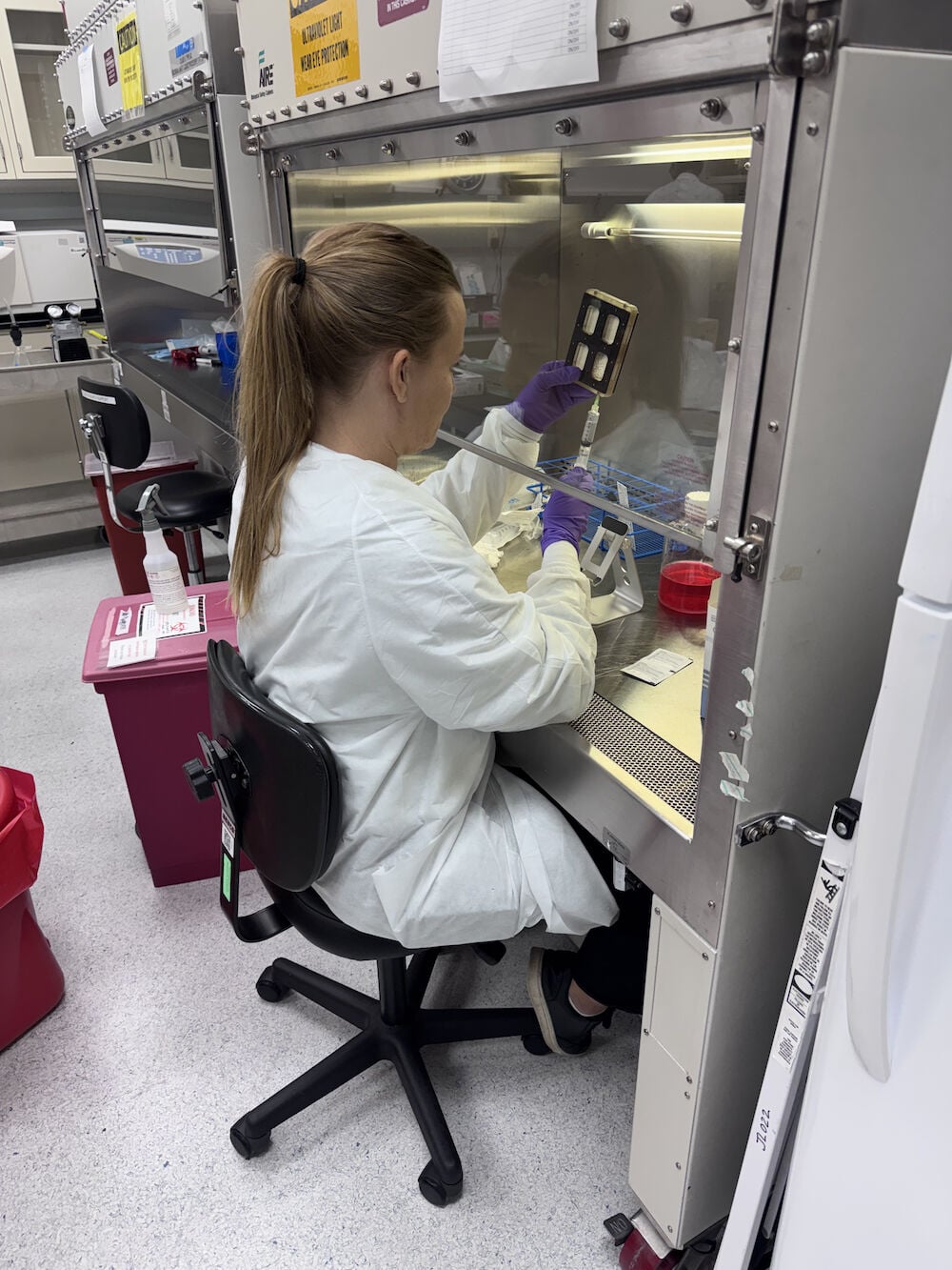 Knorpel-Tissue Engineering startet im Rahmen einer von der NSF und der ...