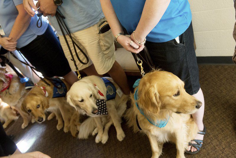 Lutheran churches — and their comfort dogs — offer support to Joplin