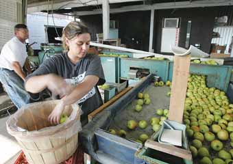 Costco Shoppers Swear By These Produce Keepers