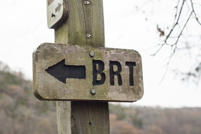 Andy Ostmeyer: Do-it-yourself year for first-day hikes - Vimarsana News