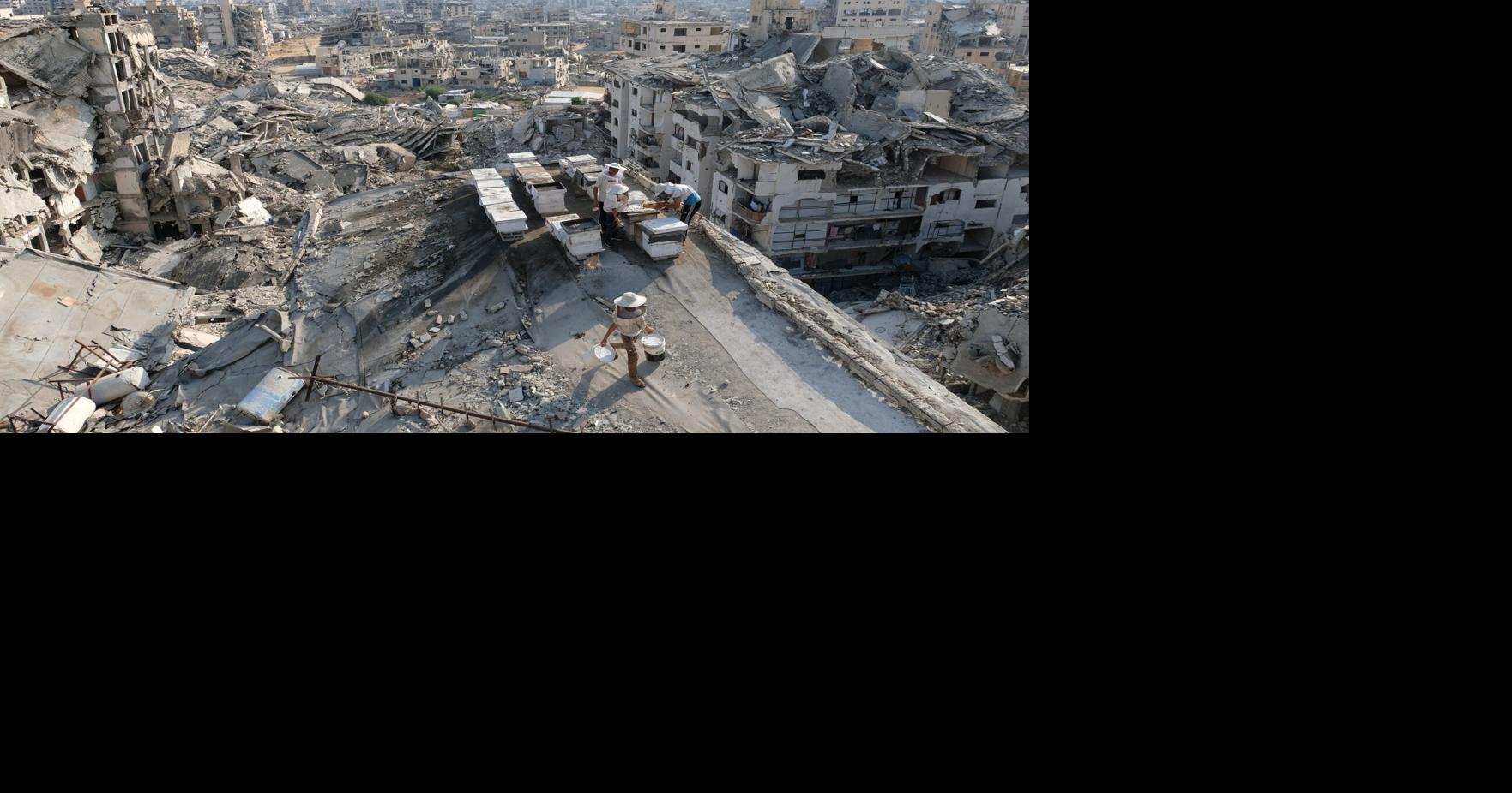Jared Kushner to visit Israel and Egypt next week with Board of Peace officials to talk Gaza President Donald Trump's son-in-law and negotiator Jared Kushner will travel to the Middle East next week to try to advance plans for an end to the conflict in Gaza after a deal recently announced by the Trump administration ran into Israeli opposition By MATTHEW LEE - AP Diplomatic Writer Aug 13, 2026 11 mins ago