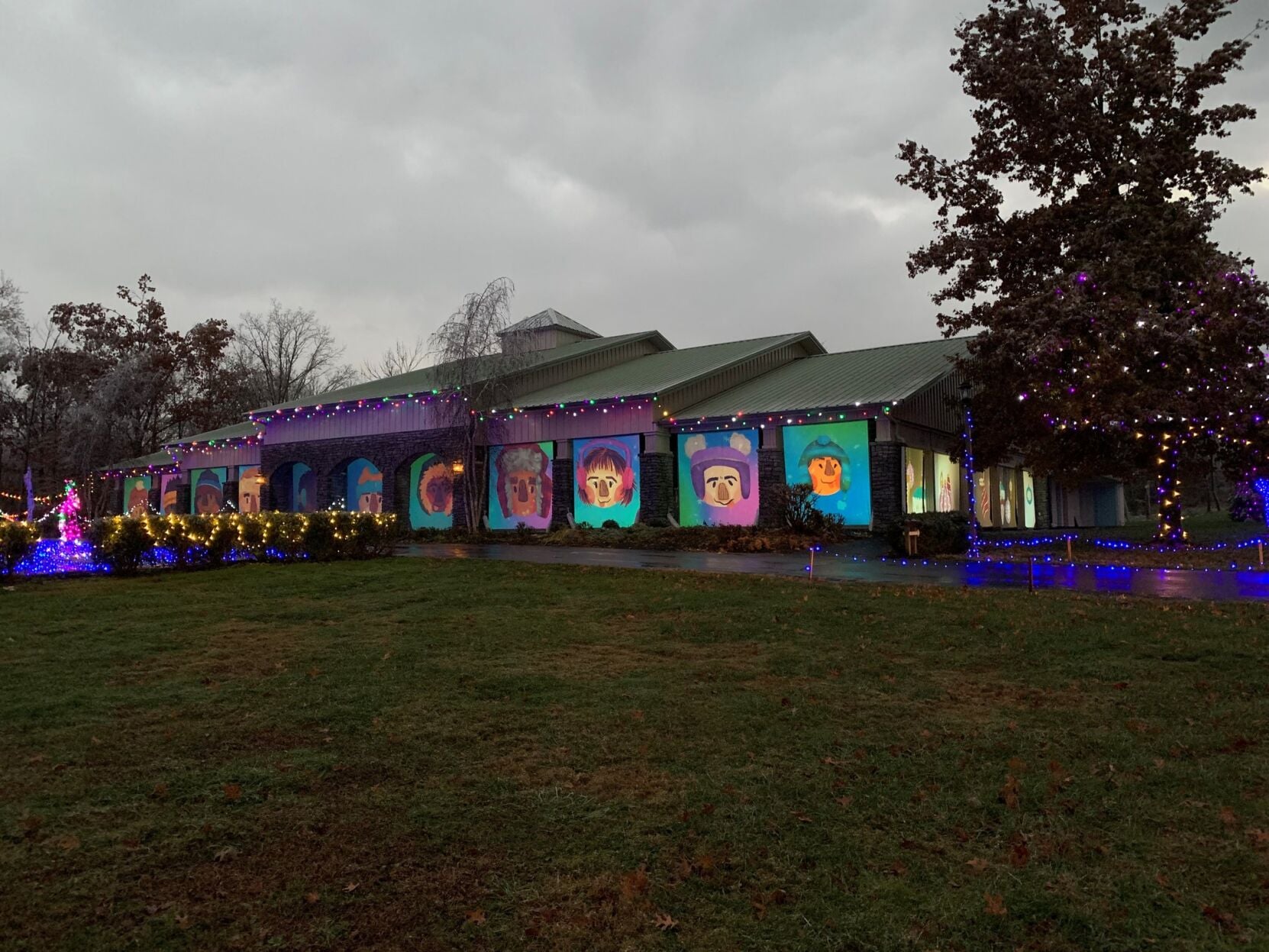 Pyramid Hill light display seeing 2019 changes in Hamilton | News ...