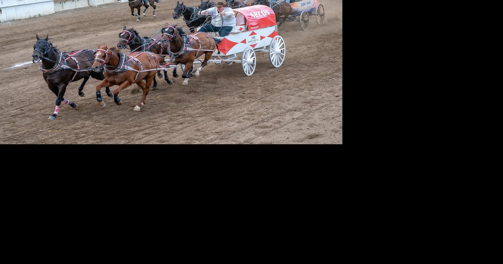 2026 Calgary Stampede Amy Harris - Invision Jul 11, 2026 3 hrs ago