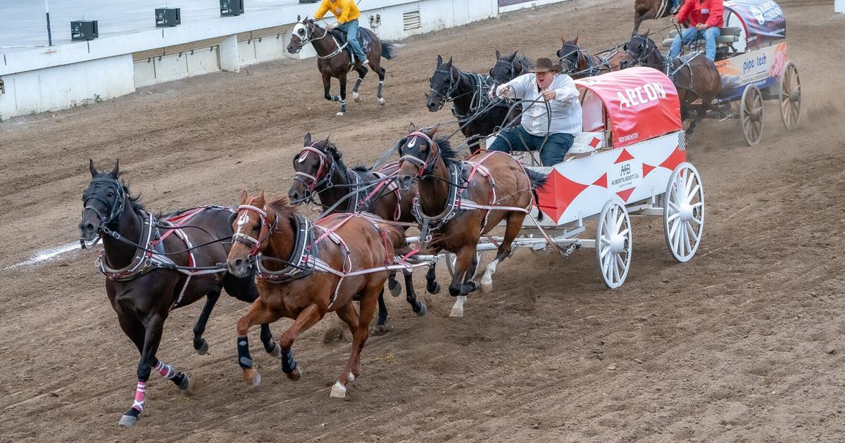 2026 Calgary Stampede Amy Harris - Invision Jul 11, 2026 3 hrs ago