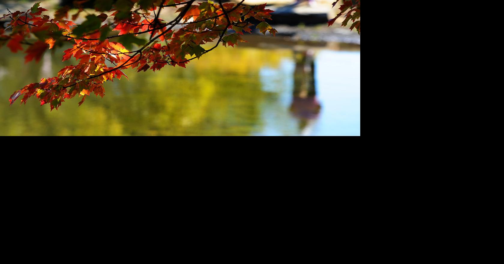 Sunny, dry with above normal temps for Sunday afternoon, cooler conditions tonight