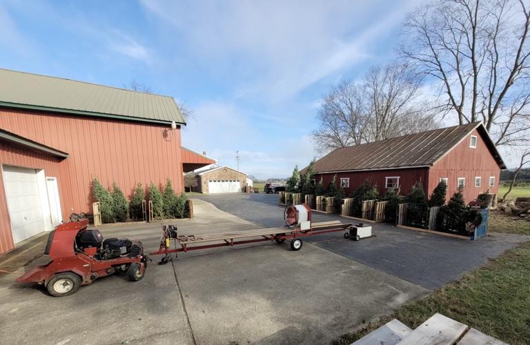 A guide to Christmas tree farms in the region in 2023 | Lifestyles ...