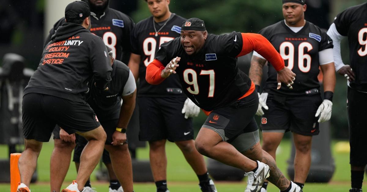 Cincinnati Bengals: Overhauled defensive line caught attention