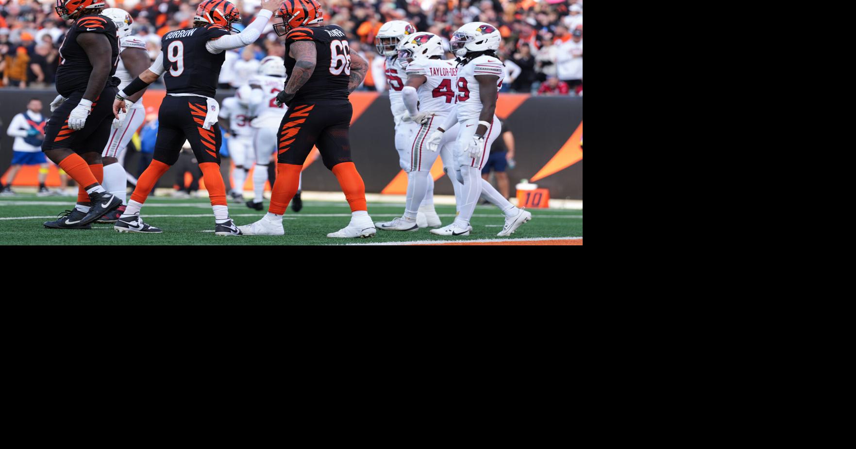 Cardinals Bengals Football