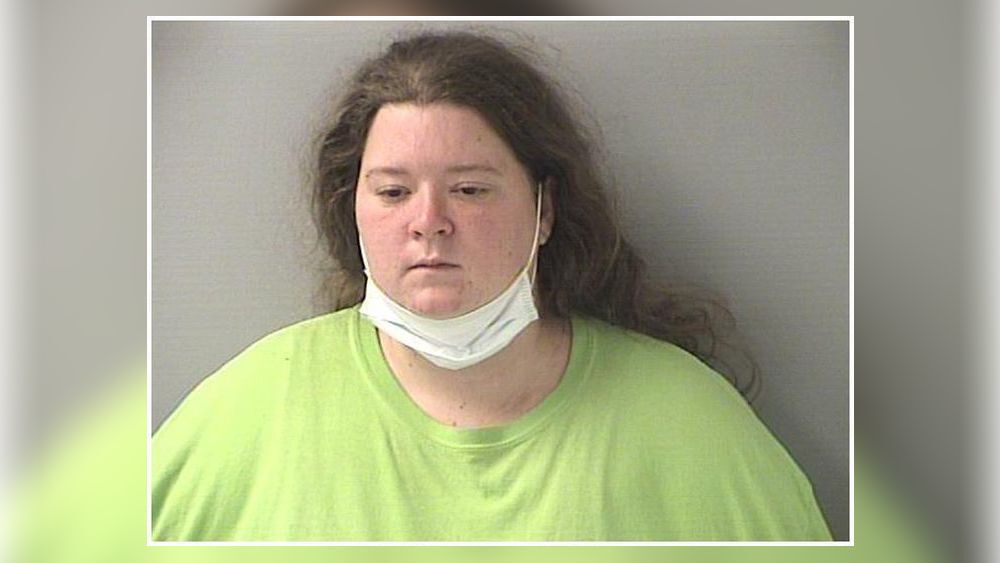 Woman remains incompetent to stand trial in Hamilton baseball bat ...