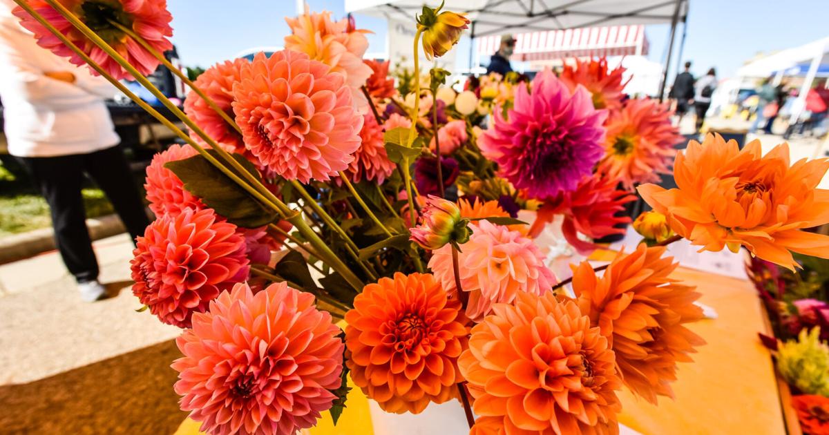 Things to do in Butler County this weekend, May 8-11, 2026