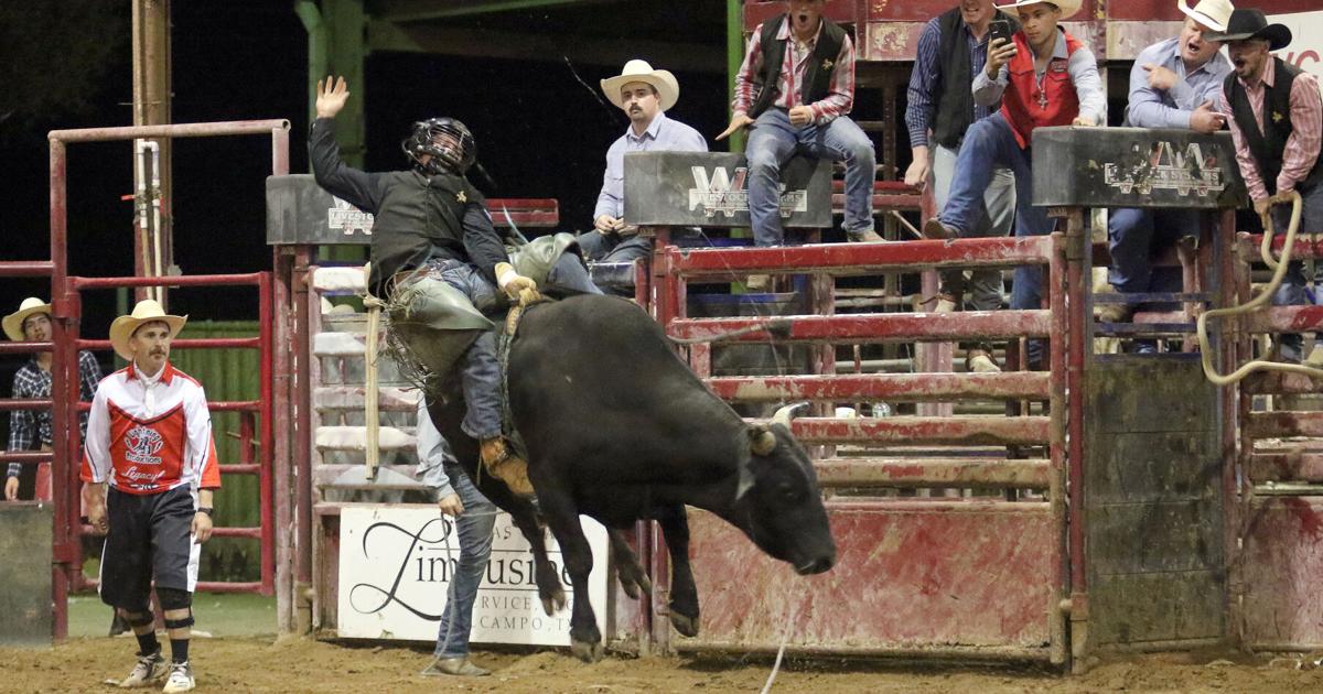 Rodeo time at the fair | | journal-spectator.com