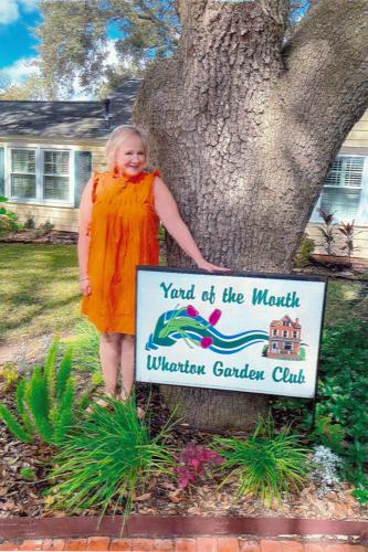 November Yard of the Month