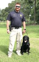 OUR AMERICAN STORIES ARE OF COPS: From K9 to family pet