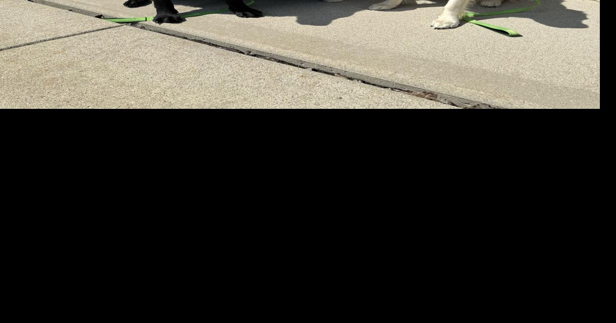 Five questions for Denise Andorfer, director of the Parkview Health Foundation