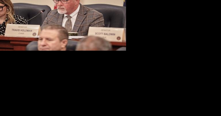 Proposal could get surrendered infants to "forever families" sooner | Local - Vimarsana News