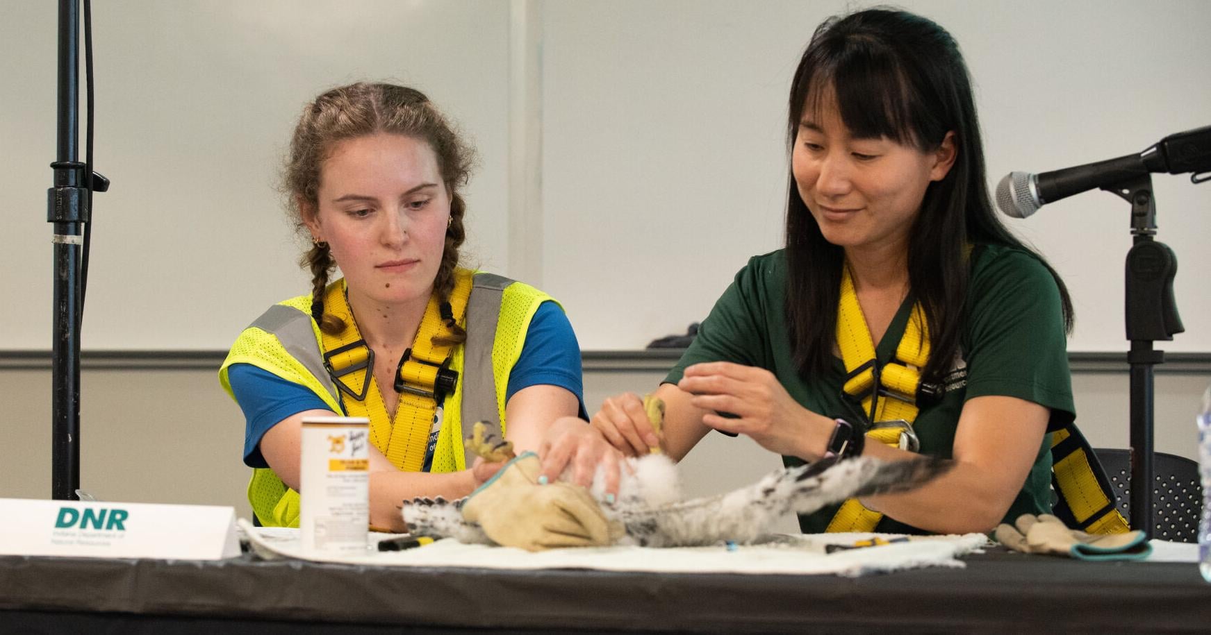 I&M hosts annual falcon banding, naming at its headquarters - Vimarsana News
