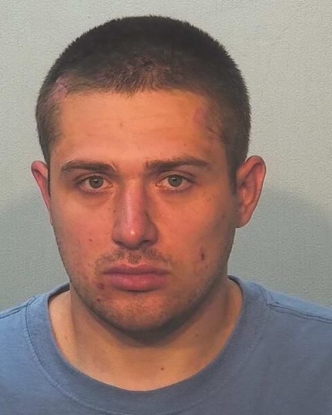 Man pleads guilty to aggravated battery for Fort Wayne shooting out of ...