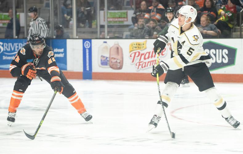 'Mildmannered' Komets goalie Fanti fights, caps thrilling 64 victory