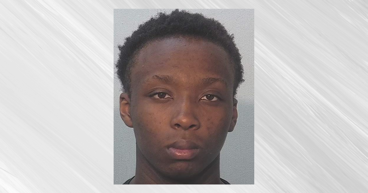 Suspect pleads guilty to murder for fatally shooting woman, 86, through front door
