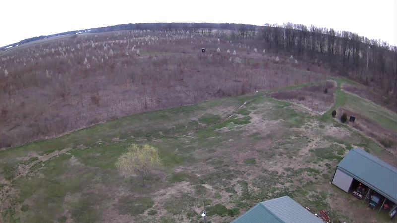 Callery pear trees spawn thorny invasive species | Living ...