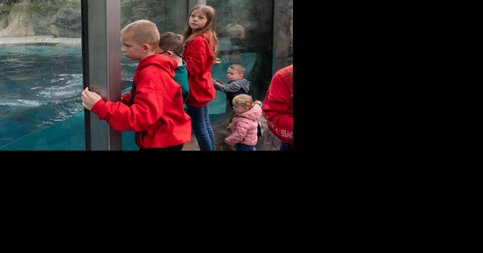 A record 83 million tourists visited Indiana in 2024, according to a study