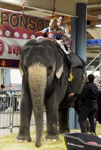 Performers delight families at Mizpah Shrine Circus | Local ...