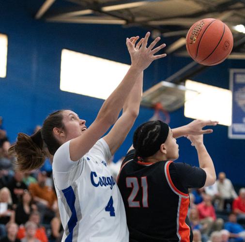Indiana Tech defeats Saint Francis to advance in NAIA Women’s ...