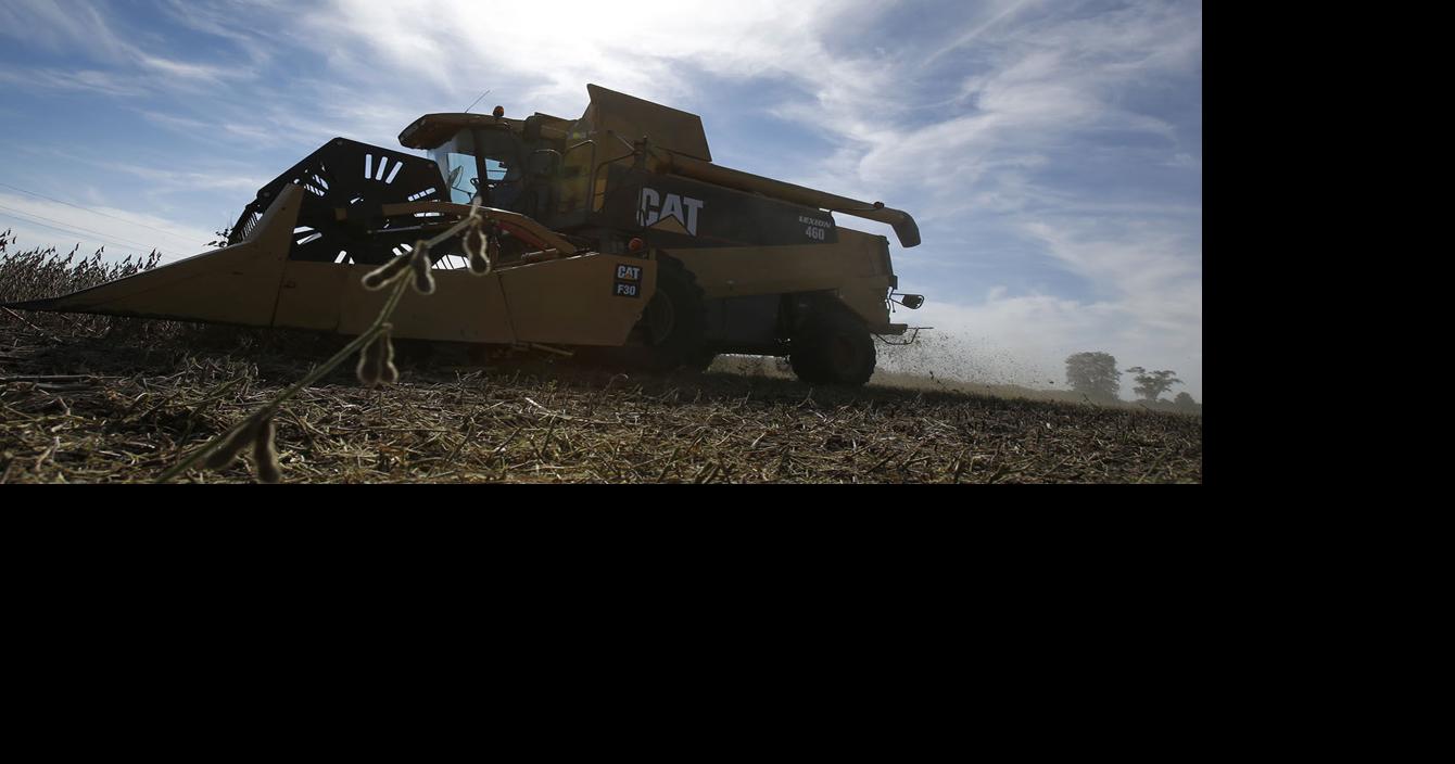 Local farmers bucking national trend in favor of planting less corn, more soybeans