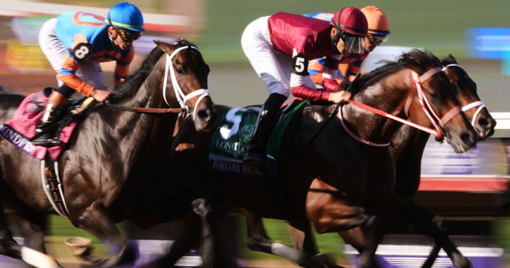 Forever Young wins $7M Breeders' Cup Classic