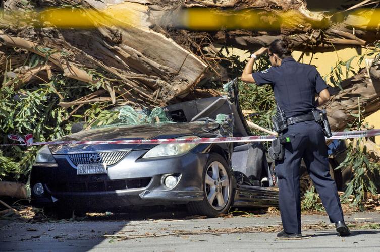 The Latest: Thousands remain without power in California | National ...