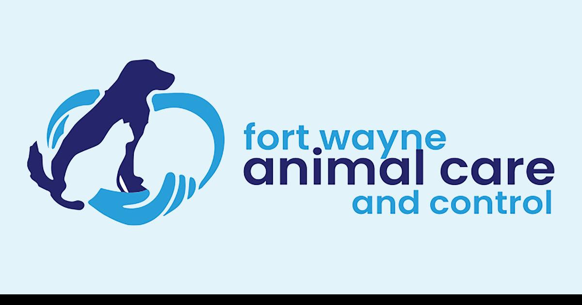 Fort Wayne Animal Care & Control resumes cat, kitten adoptions Local