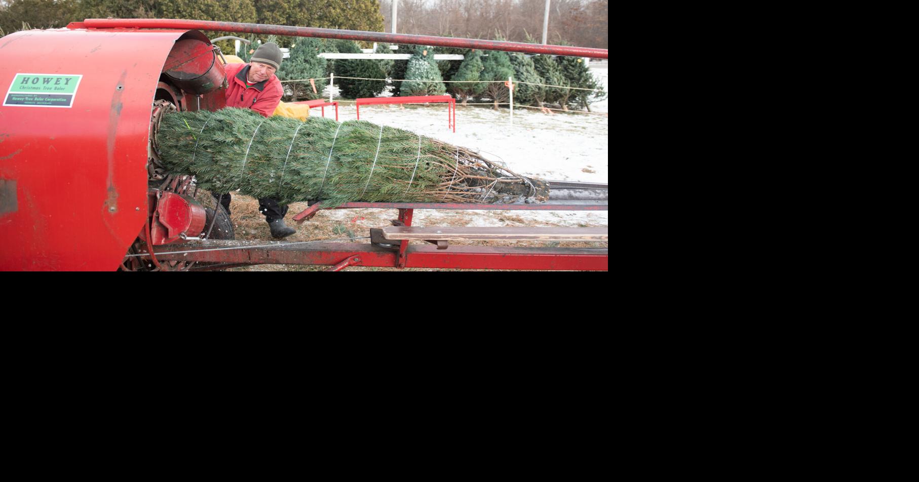 St. Joe Christmas Tree Farm Local