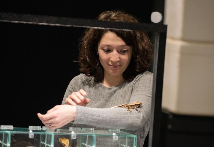 Reptiles – and their fans – invade Memorial Coliseum | Local