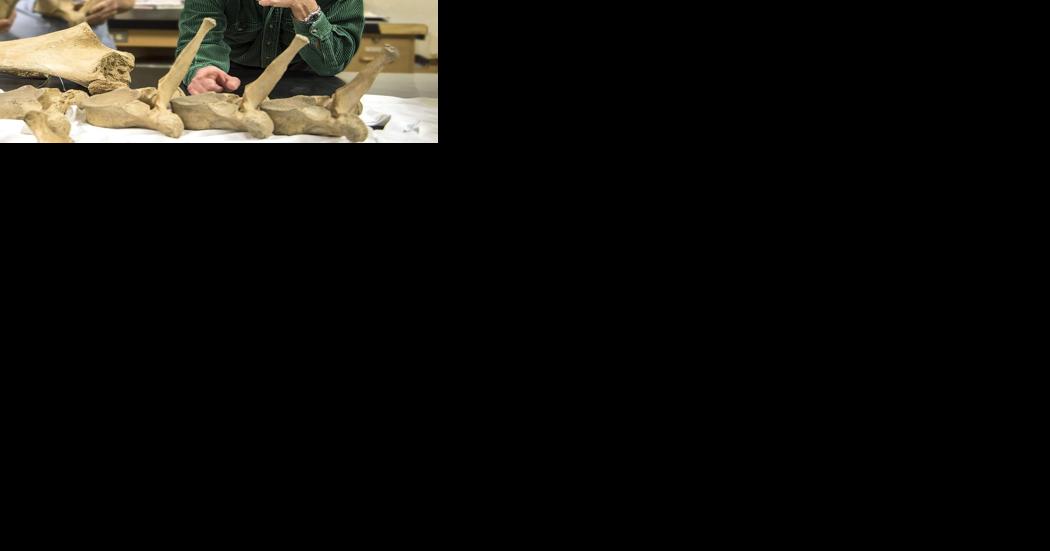 Education Notebook: Purdue Fort Wayne professor becomes fossil's namesake - Vimarsana News