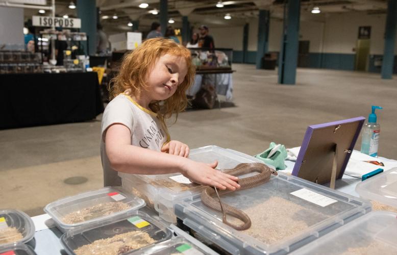 Reptiles – and their fans – invade Memorial Coliseum | Local