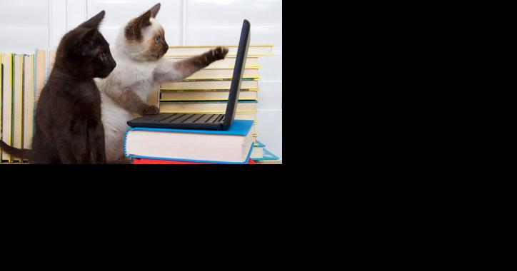 How to Write a Letter Asking for a Raise (With Samples) - Vimarsana News