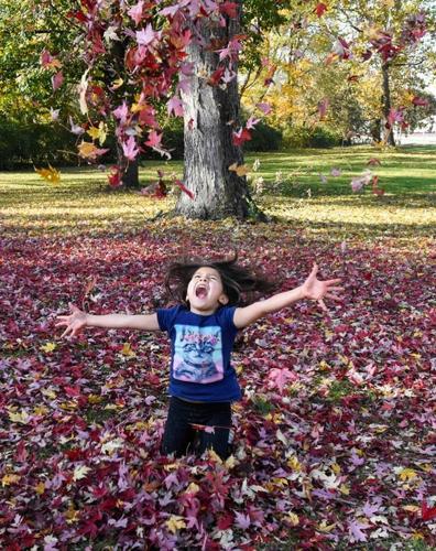 Leaves, leaves, everywhere leaves | Local | journalgazette.net