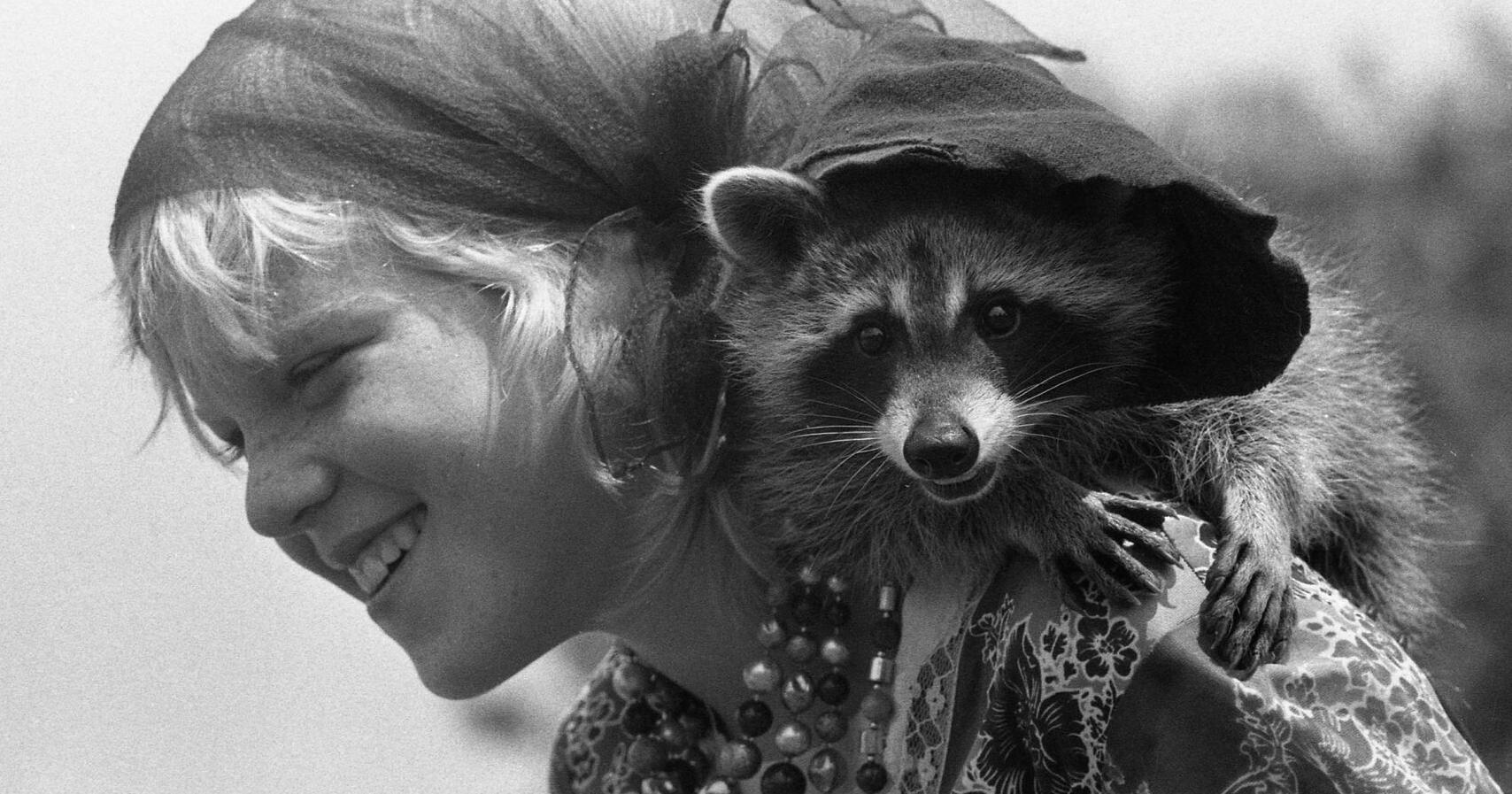 July 11, 1983: Zorro's great escape - Vimarsana News