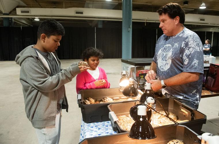 Reptiles – and their fans – invade Memorial Coliseum | Local