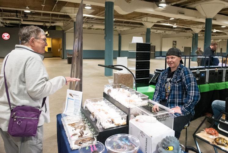 Reptiles – and their fans – invade Memorial Coliseum | Local