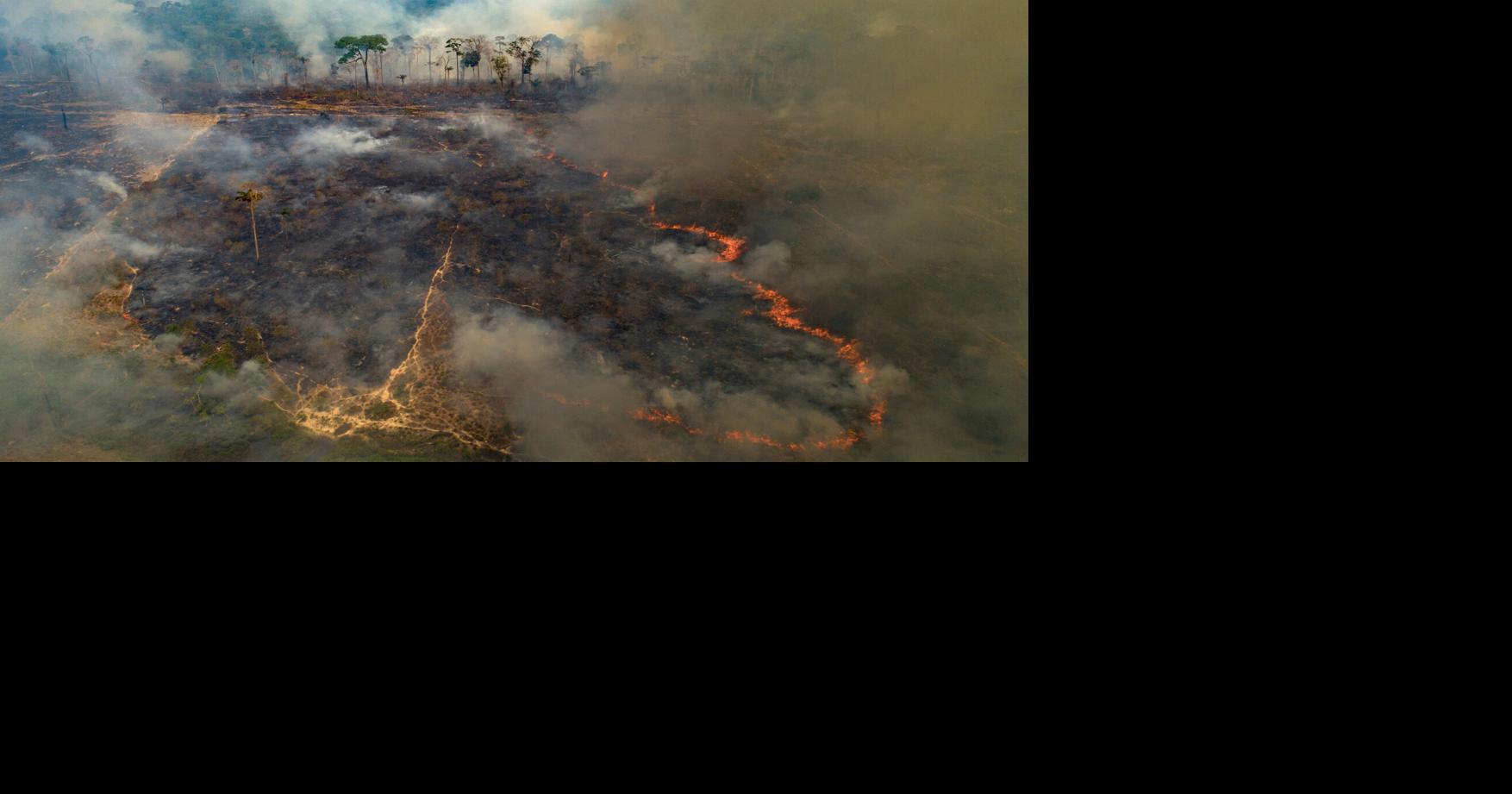 Despite gains combating deforestation in Brazil's Amazon, forest ...