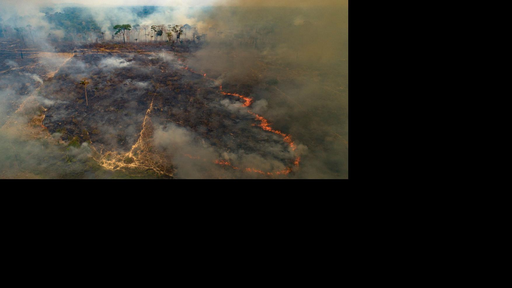 Despite gains combating deforestation in Brazil's Amazon, forest ...